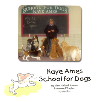 KayeAmes_image_logo